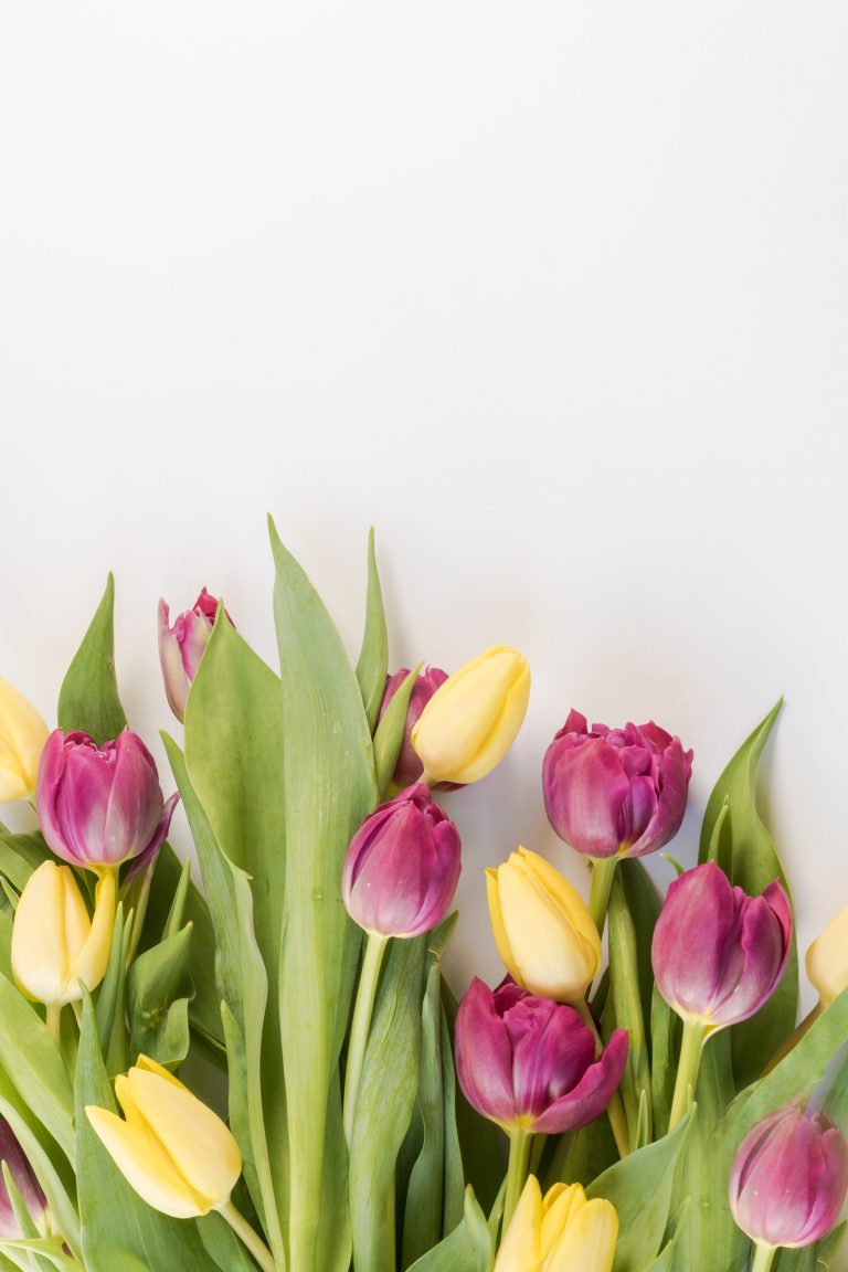 A Simple Guide to Spring Cleaning and Organisation