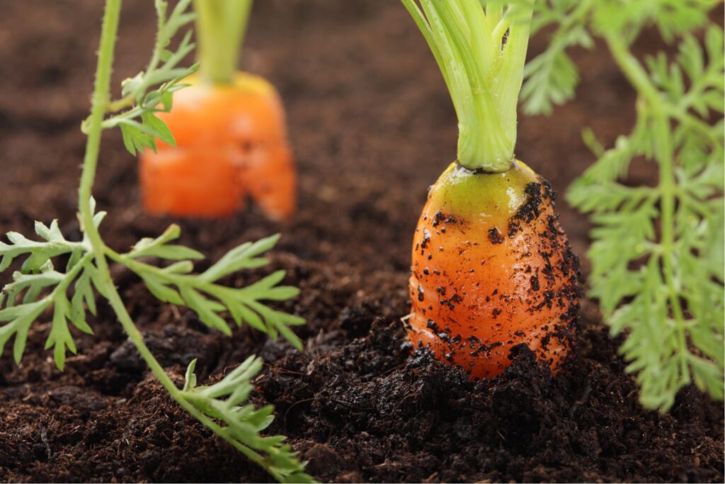 How To Make Money Gardening