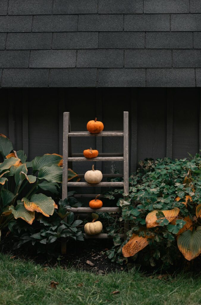 Autumn Pumpkins Decor on a Garden Ladder