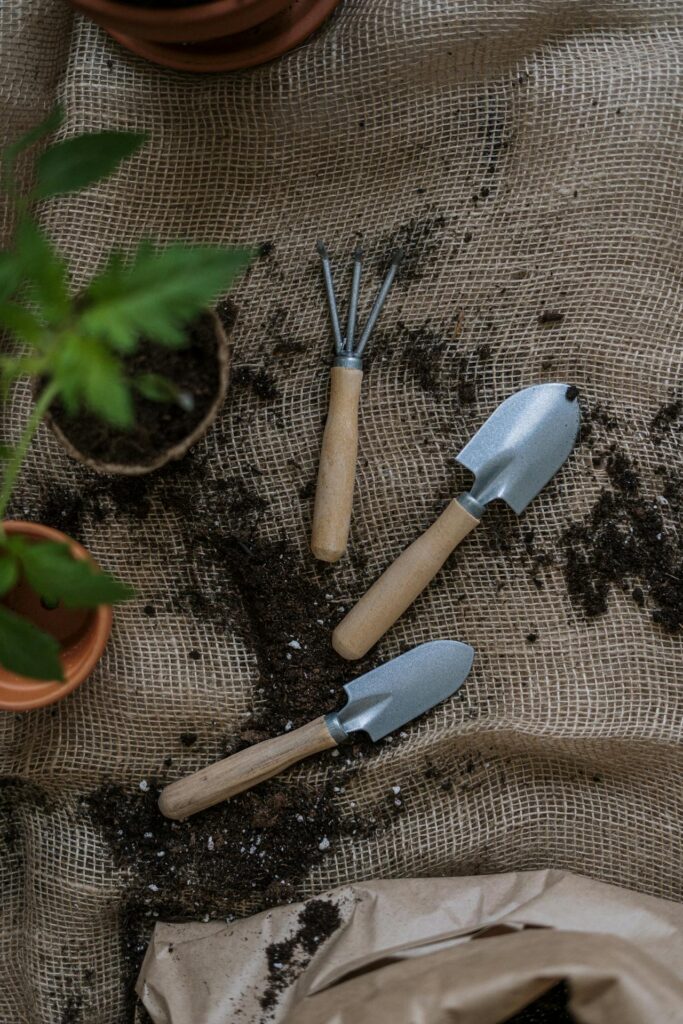 Free Plants UK: Where to Get Plants Without Spending a Penny